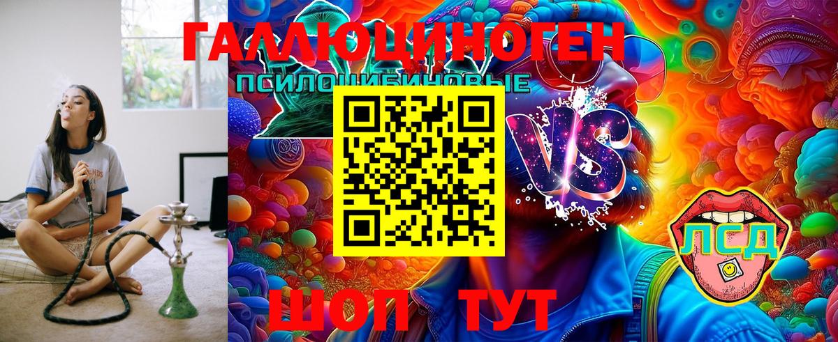 Галлюциногенные грибы GOLDEN TEACHER  Вход с VPN  наркота  Гусь-Хрустальный 