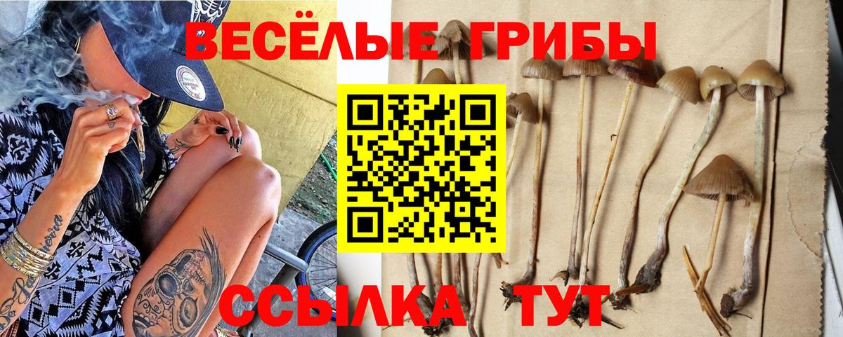 Псилоцибиновые грибы MAGIC MUSHROOMS Гусь-Хрустальный